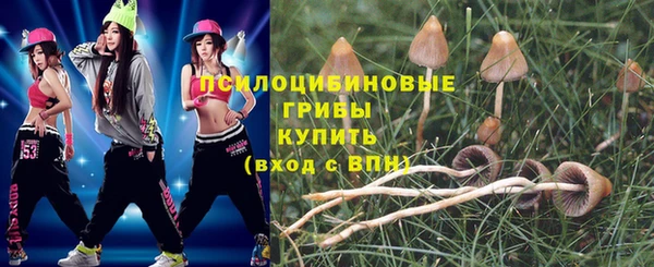 ECSTASY Баксан