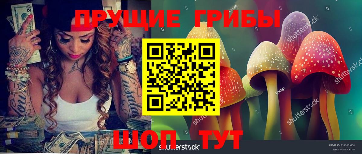 Ногинск  Галлюциногенные грибы мицелий  сколько стоит  Вход с VPN 