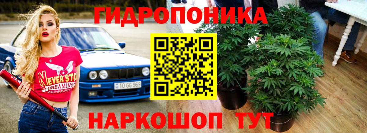 Канабис AK-47 Ногинск
